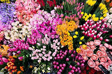 《连咒》即将登陆Steam 经典日式恐怖冒险